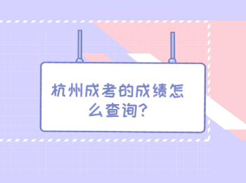 杭州成考的成績(jī)?cè)趺床樵?